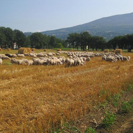 Il Tugurio Agriturismo B&B Rivotorto Buitenkant foto